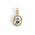 DISCO Charm