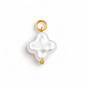 MILKYWAY Charm