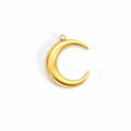 MOONLIGHT Charm